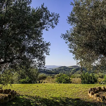 Farm stay Agriturismo Salemi *