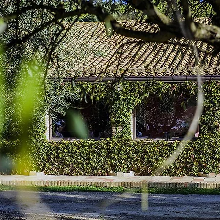 Agriturismo Salemi Farm stay
