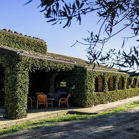 Farm stay Agriturismo Salemi